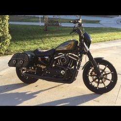 2016 Harley Davidson 883 Iron