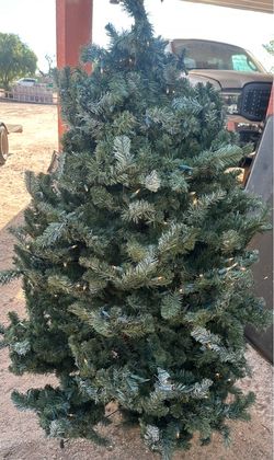 5.5ft Front Gate Christmas Tree Collection