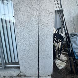 Baitcaster rod 