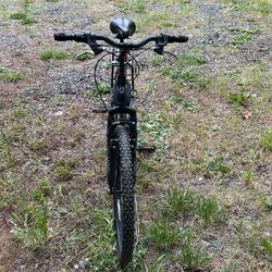 Bikes Adult 