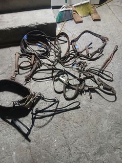 Mixed lot, Horse bridal, Halter, head stall & more, $120