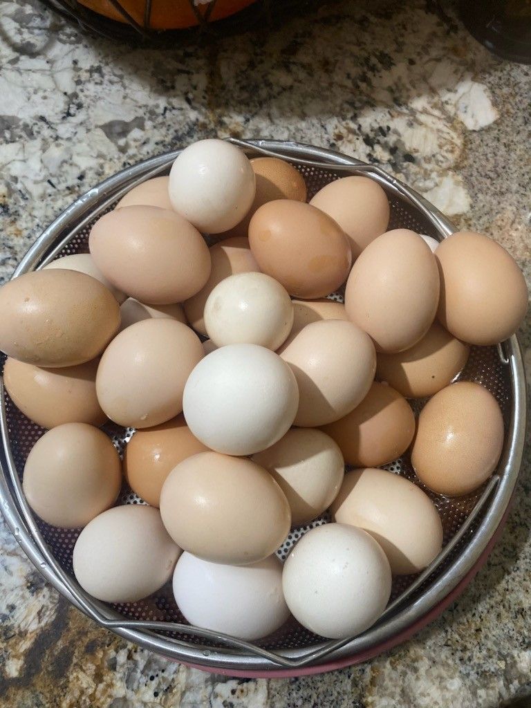 Organic Great Eggs Per Dozen