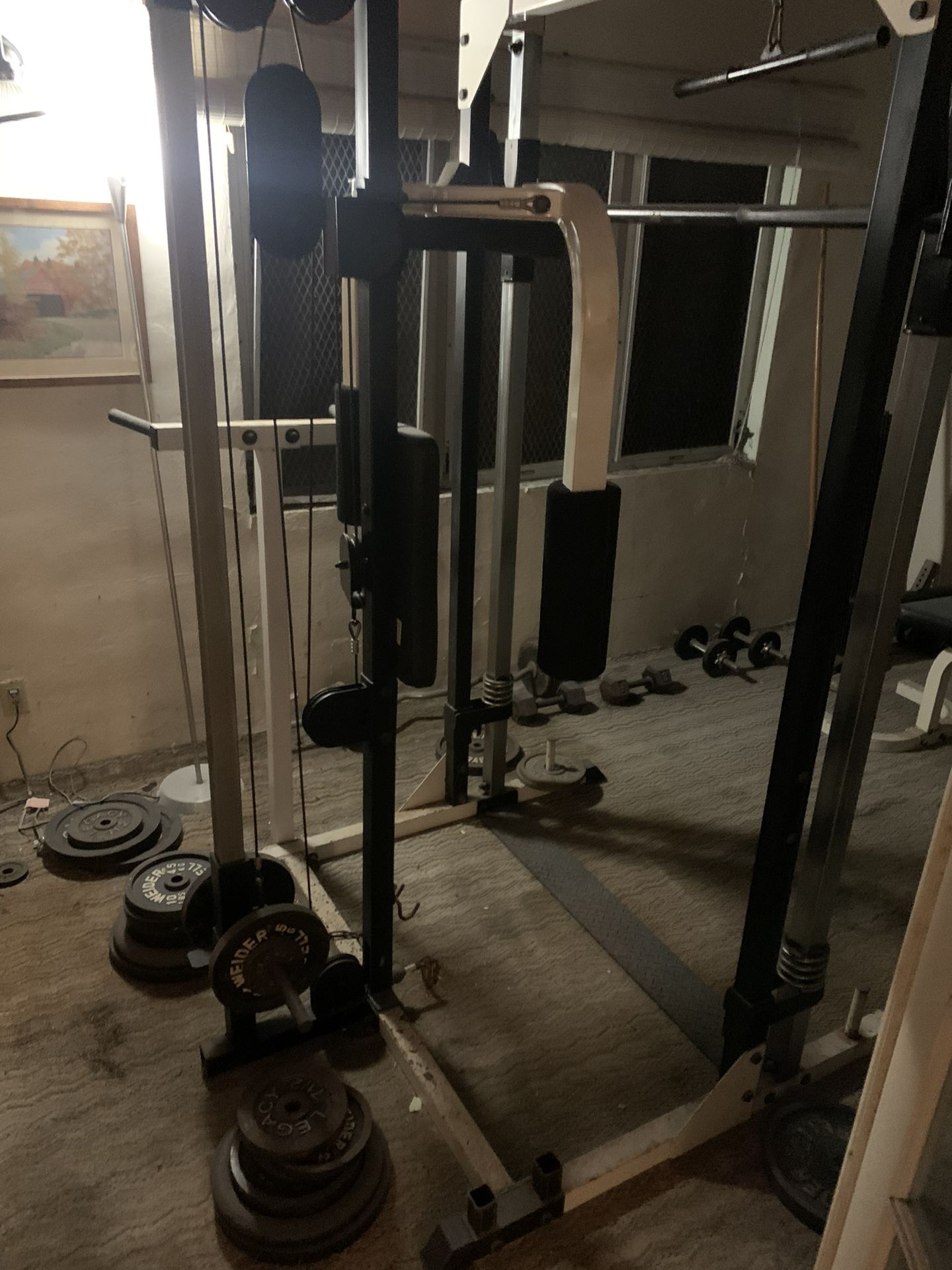 Gym Equipment 