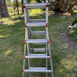 Little Giant Ladder 