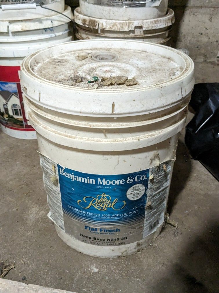 5 Gallons Benjamin Moore Paint for Sale in South Plainfield, NJ OfferUp