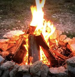 FIREWOOD  - Nice Dry Seasoned Firewood Quarter Cords 