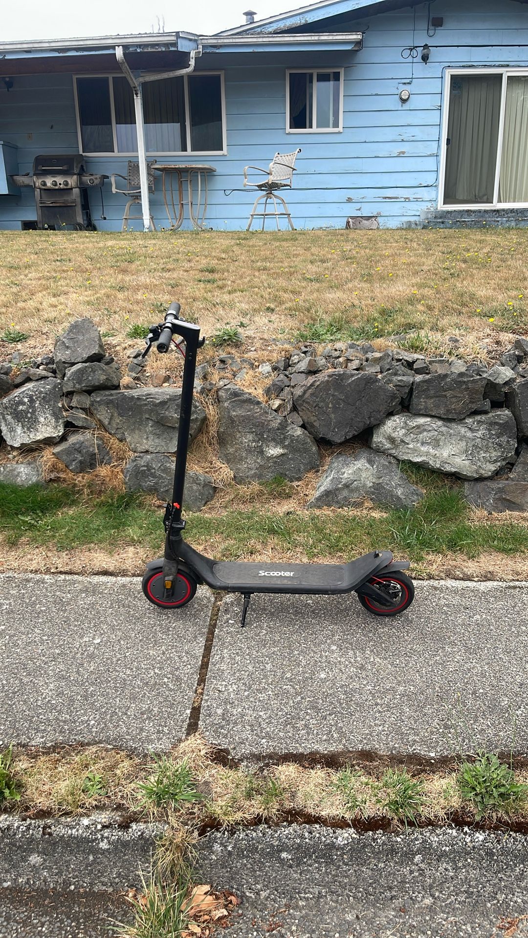Electric Scooter