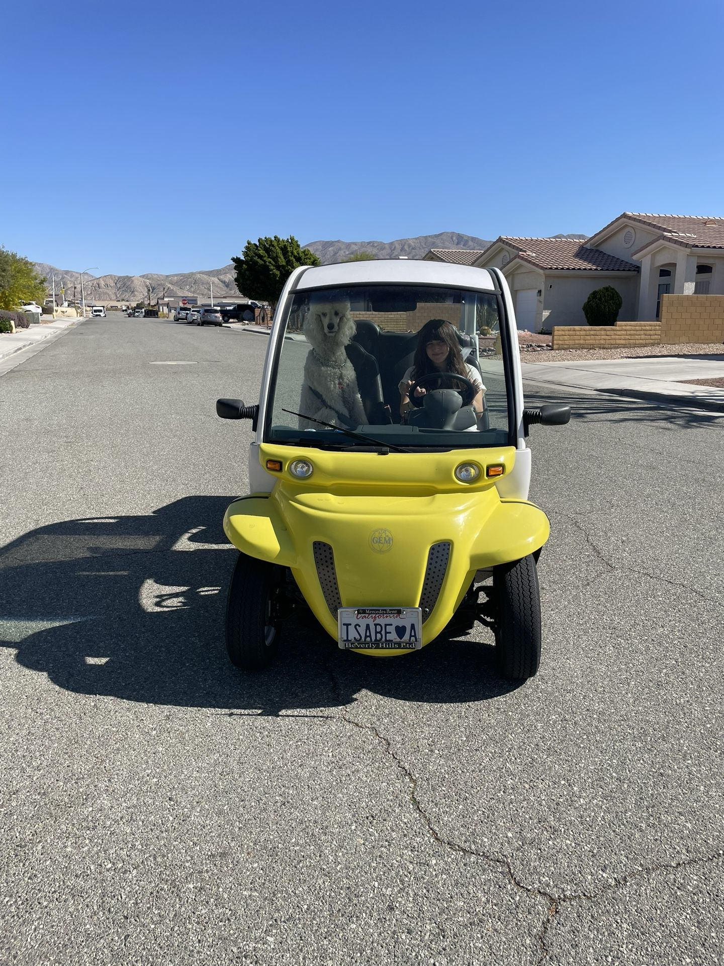 GEM GOLF CART 2002