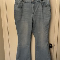Plus Size Boot Cut Jeans (NEW)