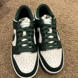 Nike Dunk Low Retro Green Multiple Size 