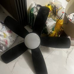 Ceiling Fan