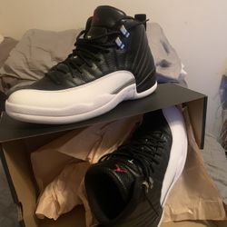 Jordan 12 