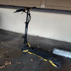 E SCOOTERS miniwalker tiger 9 pro