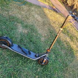 Segway adult Scooter