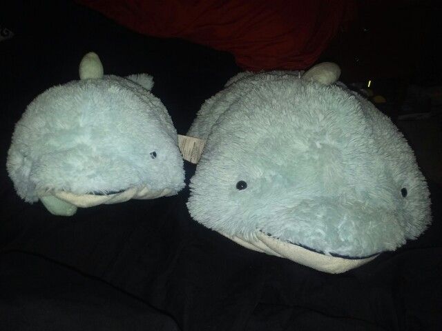 One Regular & One Mini Dolphin/Whale Pillow pets