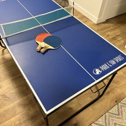 Ping Pong Table 