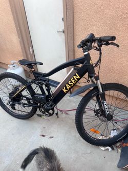 Kasen Electric bike