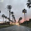 Juan