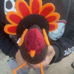 Pumpkins And Plush Turkeys