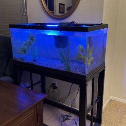 Aquarium 45 gallon
