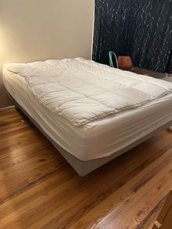 Adjustable queen size bed. Excellent condition