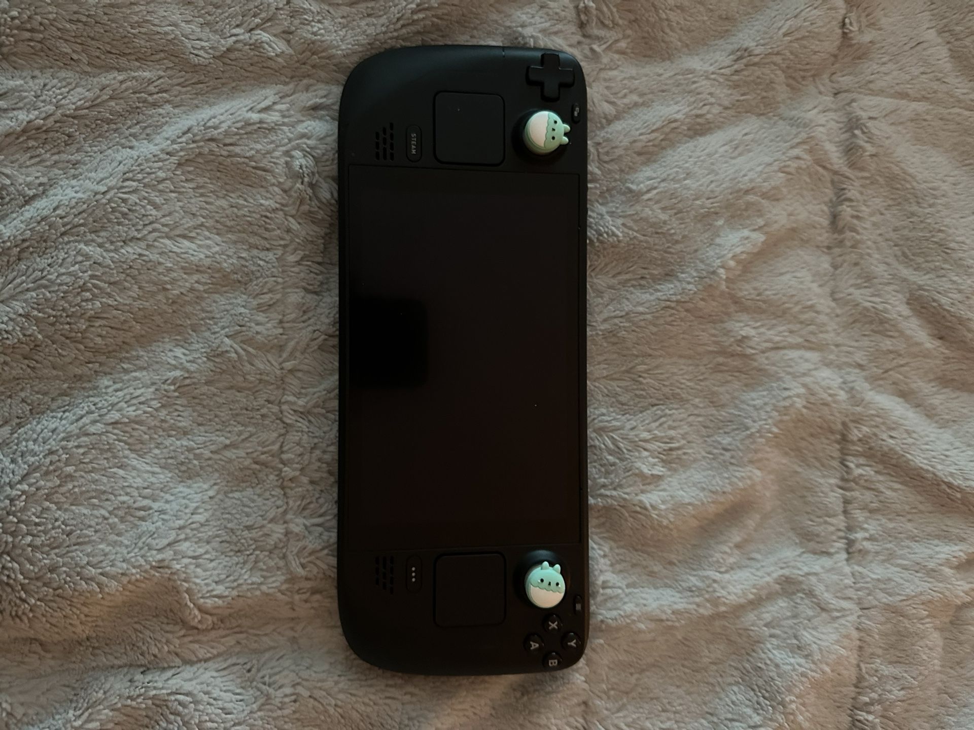 Steam Deck w/ Case