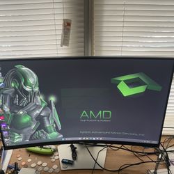 31 Curb Monitor In Excellent Condition.