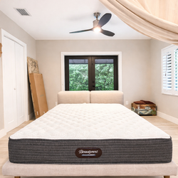 Bed + Mattress Set – Beautyrest – $300