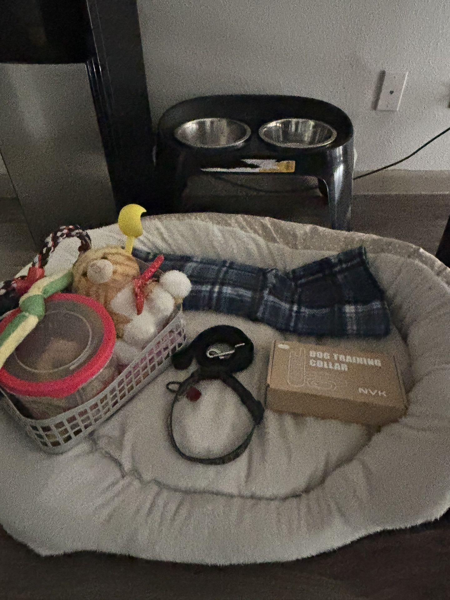 Puppy/Dog Starter Bundle 