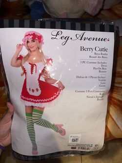 Brand New Strawberry Shortcake costume