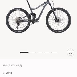 Giant Trance 29 3 (Size Large)