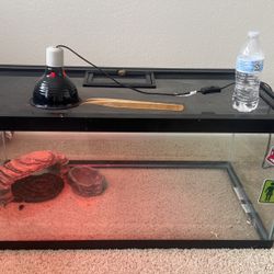Reptile Tank