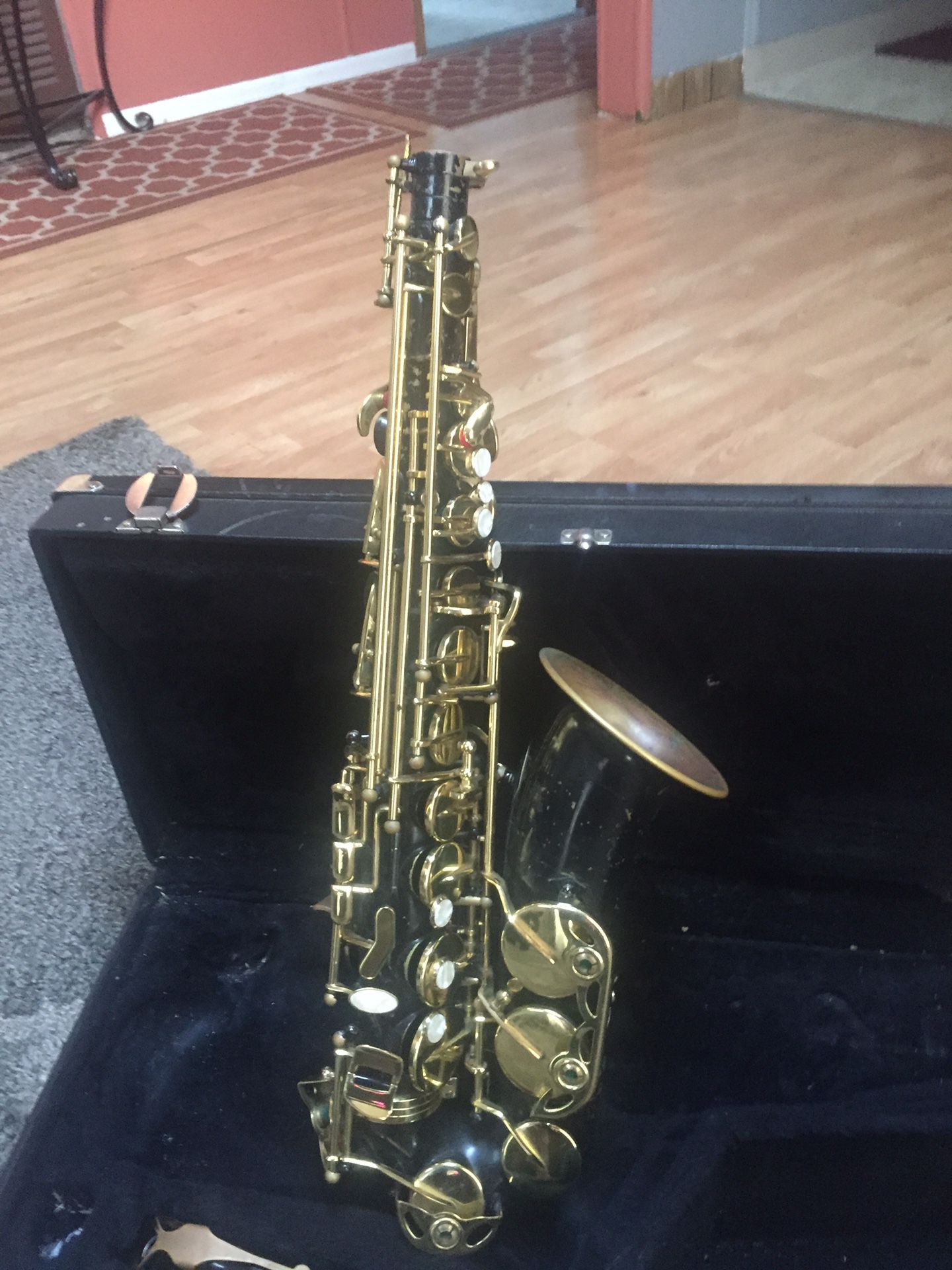 Nice alto saxophone