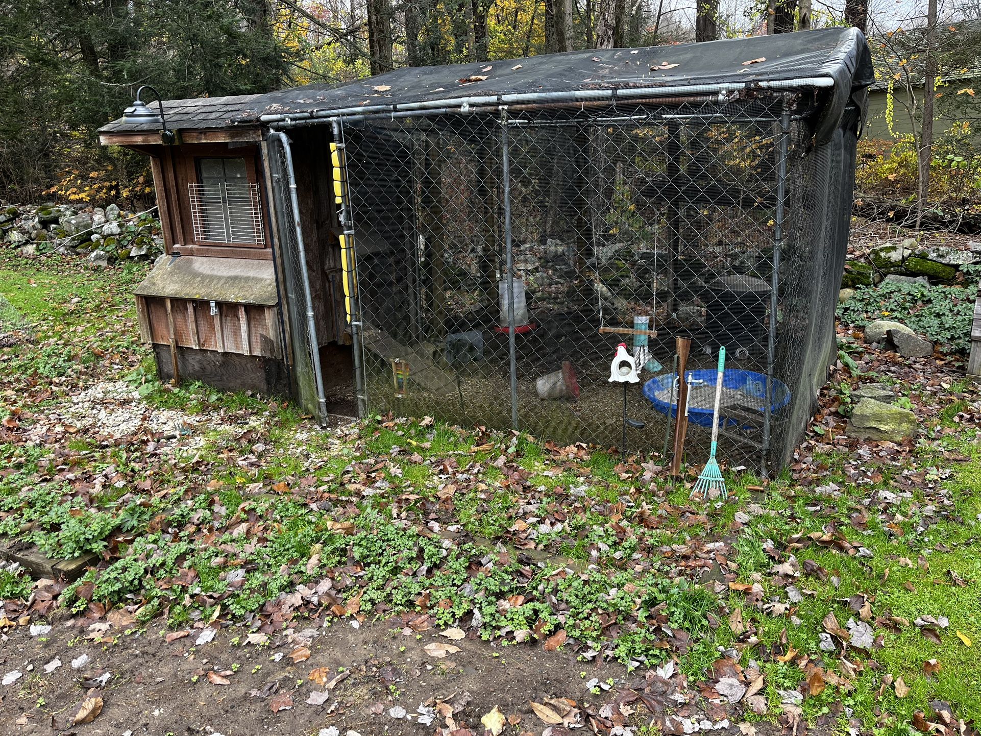 Chicken Coop And Run