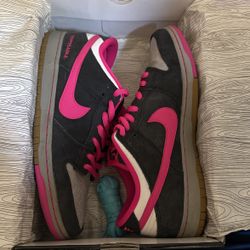 Nike SB Dunk Low “disposable”