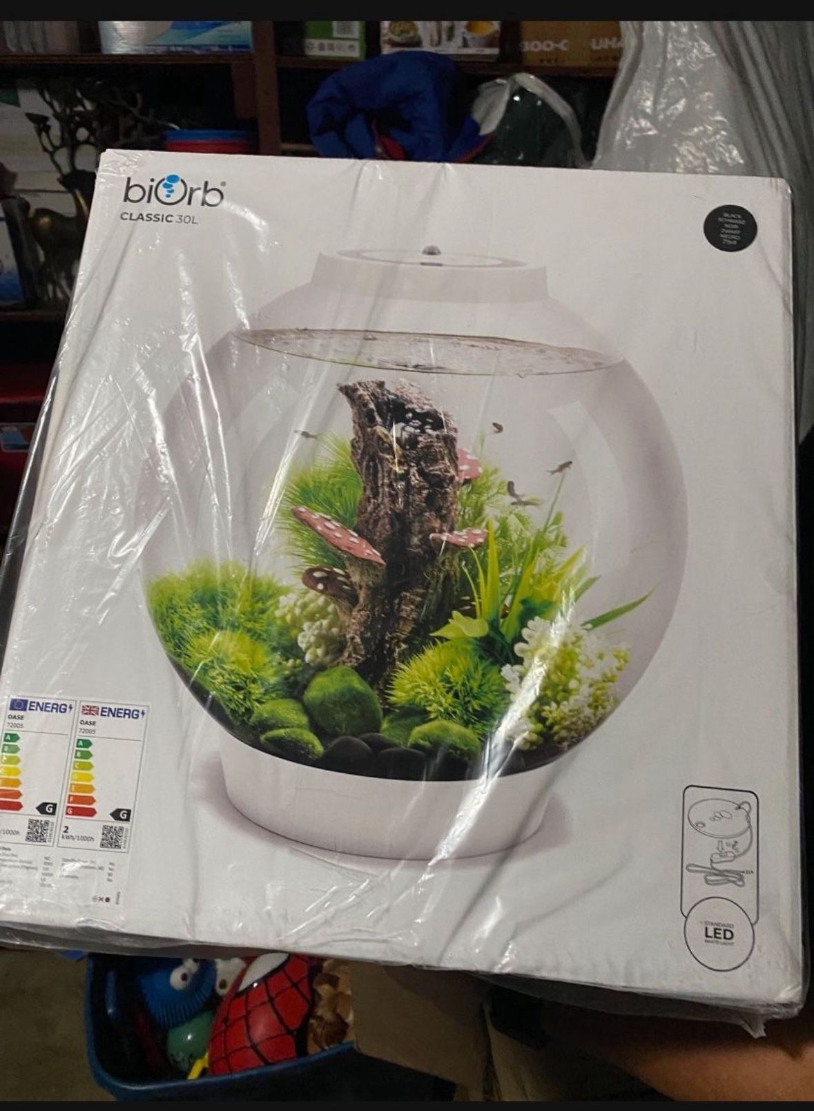 Fish Tank- Biorb Fish