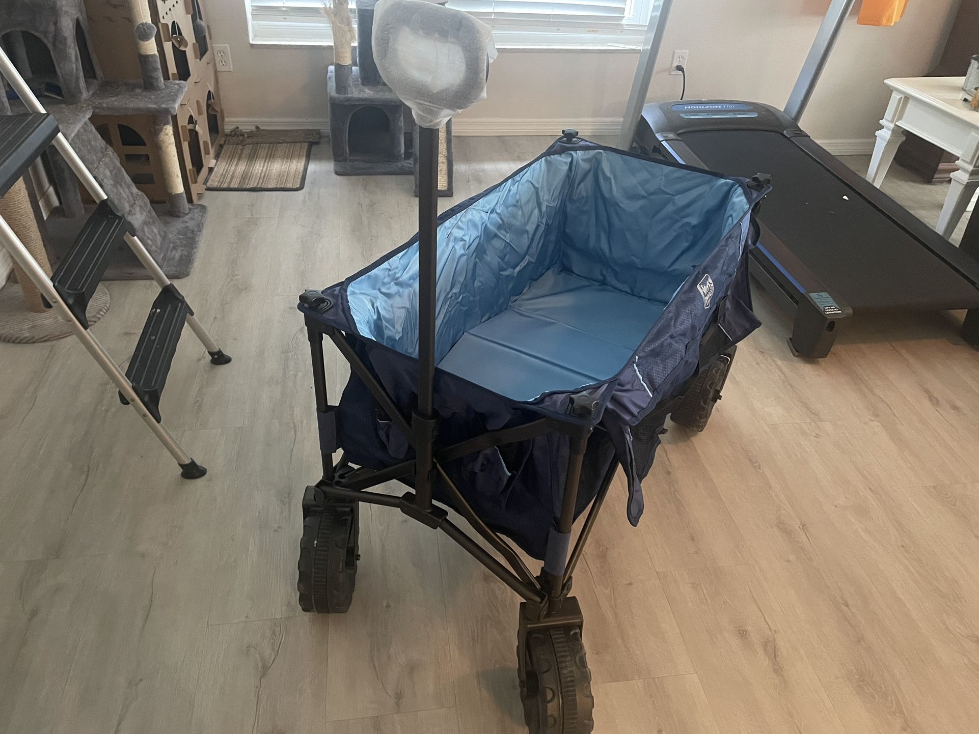 Beach Wagon
