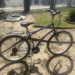 Cambria Fuji bicycle