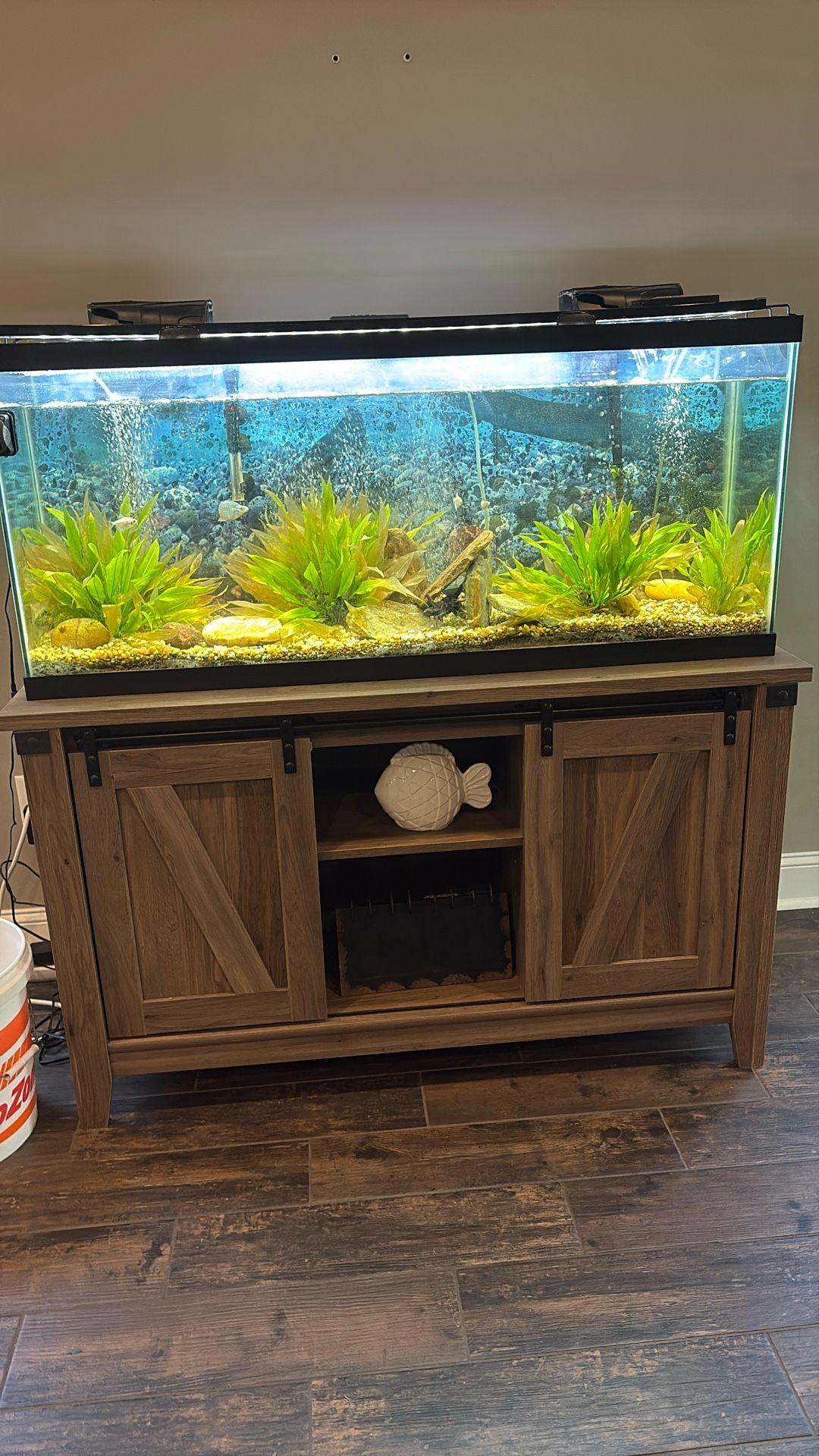 Fish Tanks And Supplies
