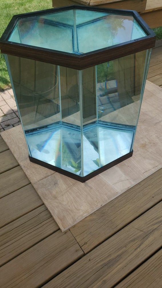 50 gallon hexagon fish tank