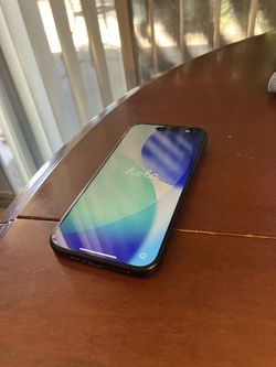 iPhone 15 Pro 256G (cat not included)
