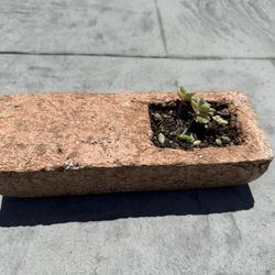 Brick Planter For Small Succulents Or Seedlings With Drainage Hole
