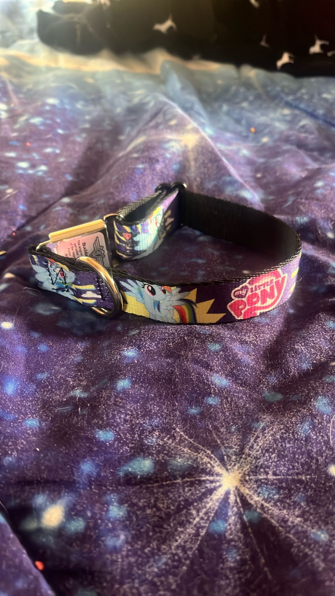 My Little Pony Buckle Down Dog Collar