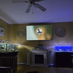 Luxury AQUARIUM Low iron Glass