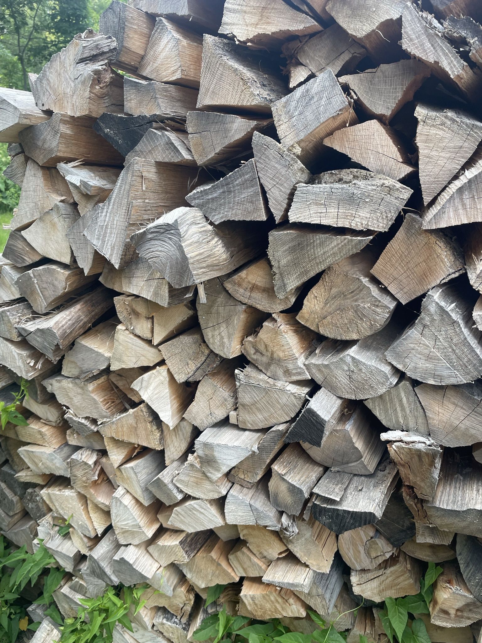 Seasoned Firewood