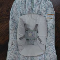 Baby Bouncer