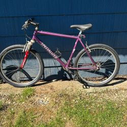 Specialized Bike 