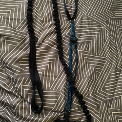 Small Cat Harness And Bungee Leash   