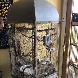 Beautiful Rare Bird Cage