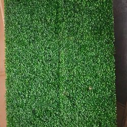 Green Wall